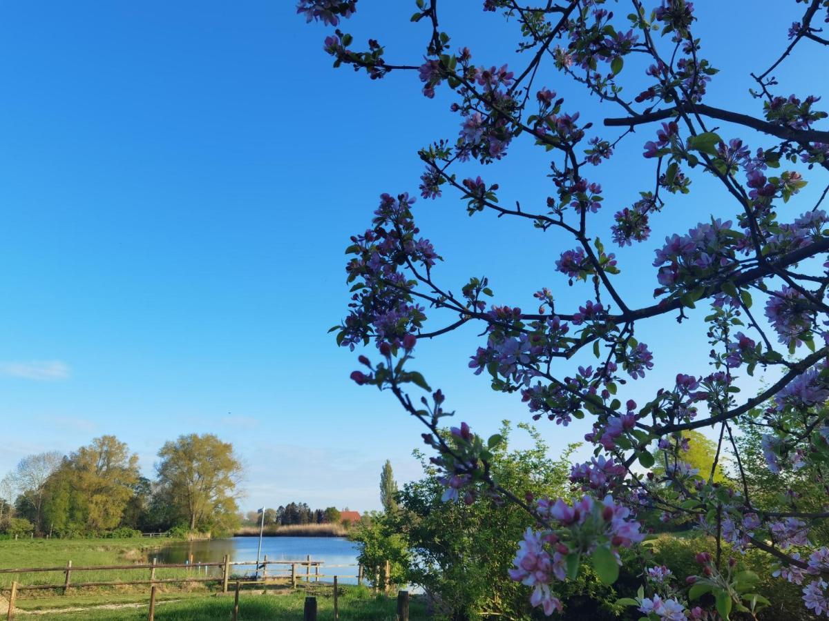 Stedinger Landhotel & Cafe Berne 外观 照片